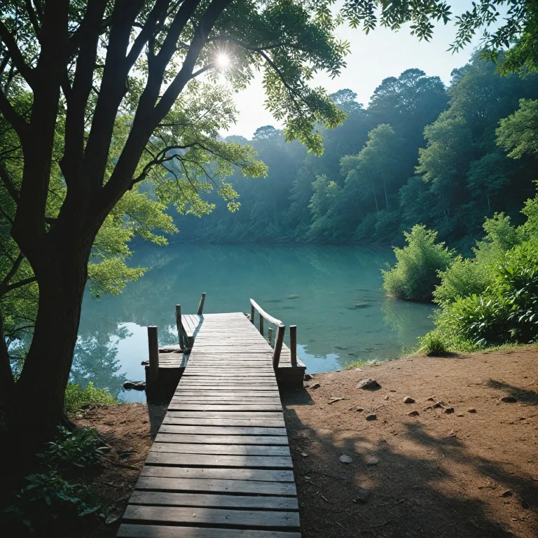 Affordable wellness getaways: enriching mind, body, and spirit without breaking the bank