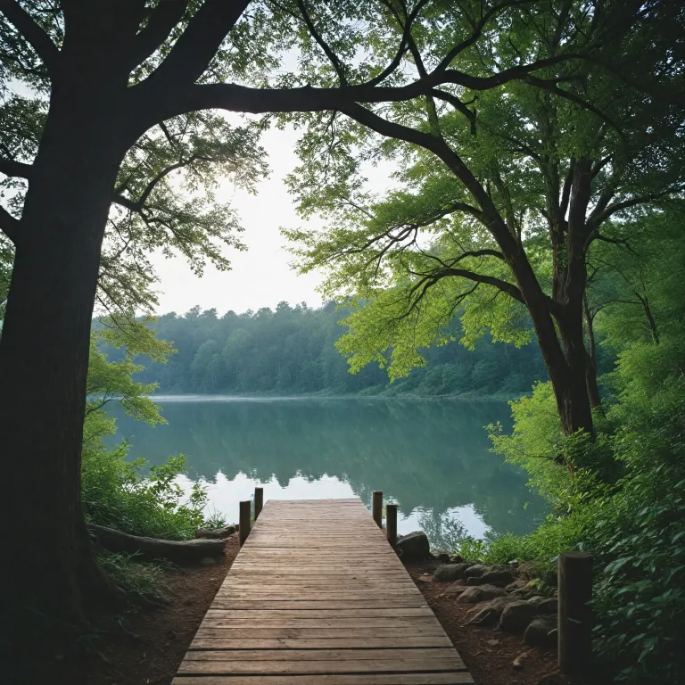 Digital detox vacation ideas for mindful travel and wellness retreats