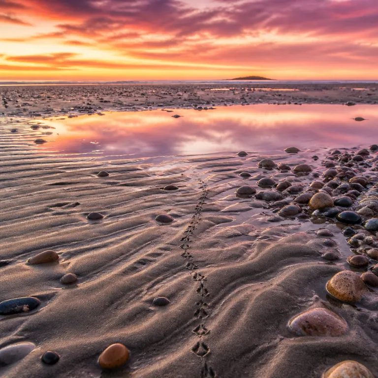 A mindful horizon: the ultimate guide to solo wildlife travel